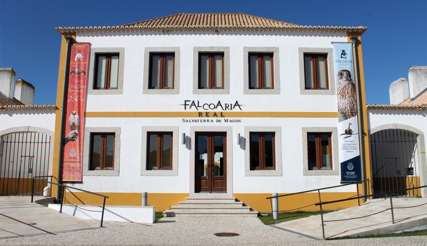 Falcoaria Real
